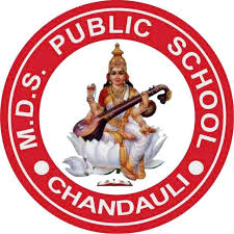 MDS Public school