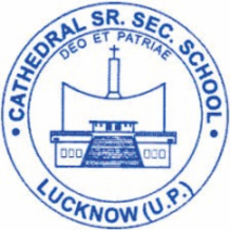 cathedral sr sec school