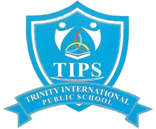 trinity international publicc school
